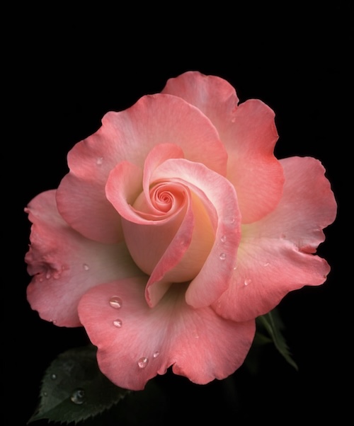 First slide